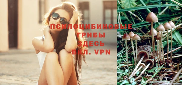 а пвп мука Осинники