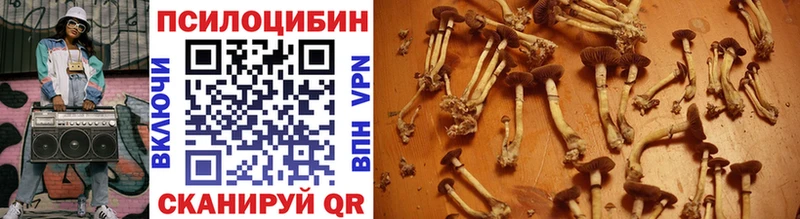 Псилоцибиновые грибы MAGIC MUSHROOMS  Фурманов 